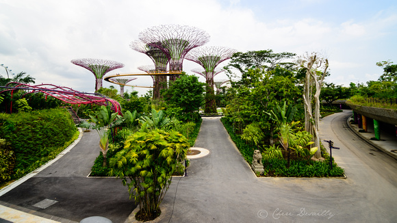 Gardens on the Bay 11