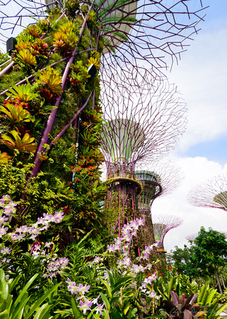Gardens on the Bay 10