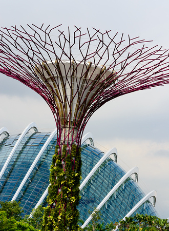 Gardens on the Bay 12