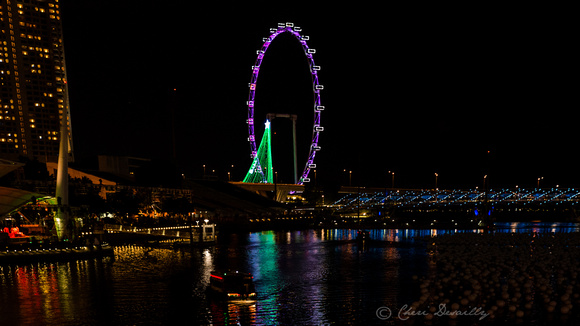 Singapore Skyline at Night 3
