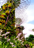 Gardens on the Bay 10
