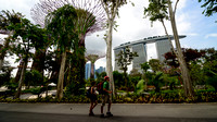 Gardens on the Bay 6