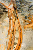 20201120_DSC8199